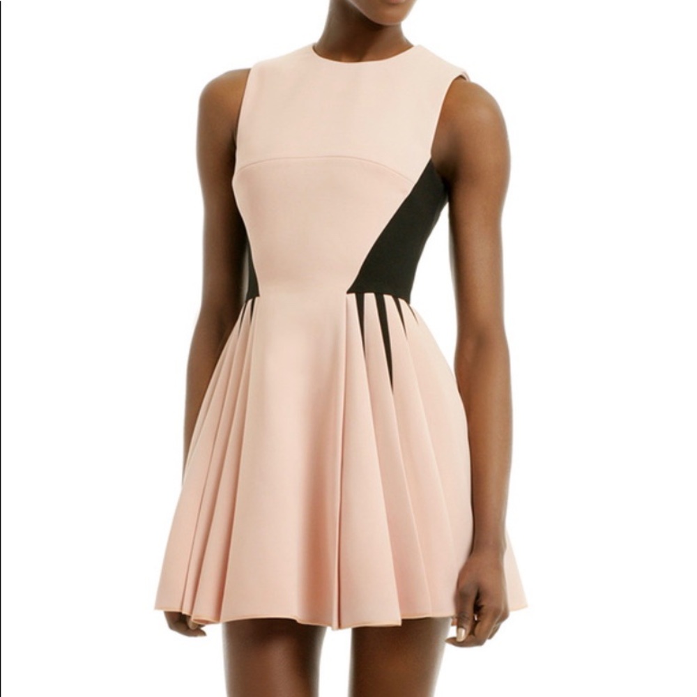 David Koma Blush Vanguard Dress